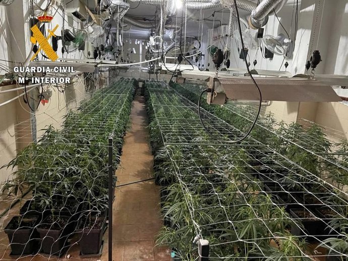 Vídeo de la noticia