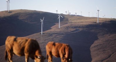 Medio Ambiente