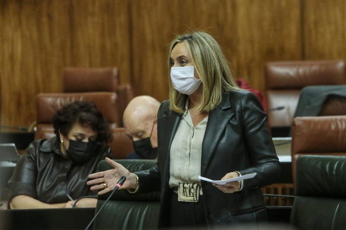 La consejera de Fomento, Infraestructuras y Ordenación del Territorio, Marifrán Carazo.