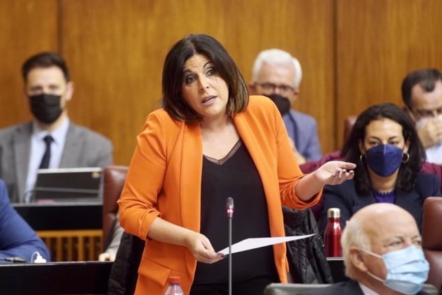 La portavoz del Grupo Socialista en el Parlamento andaluz, Ángeles Férriz, en el Pleno de la Cámara.