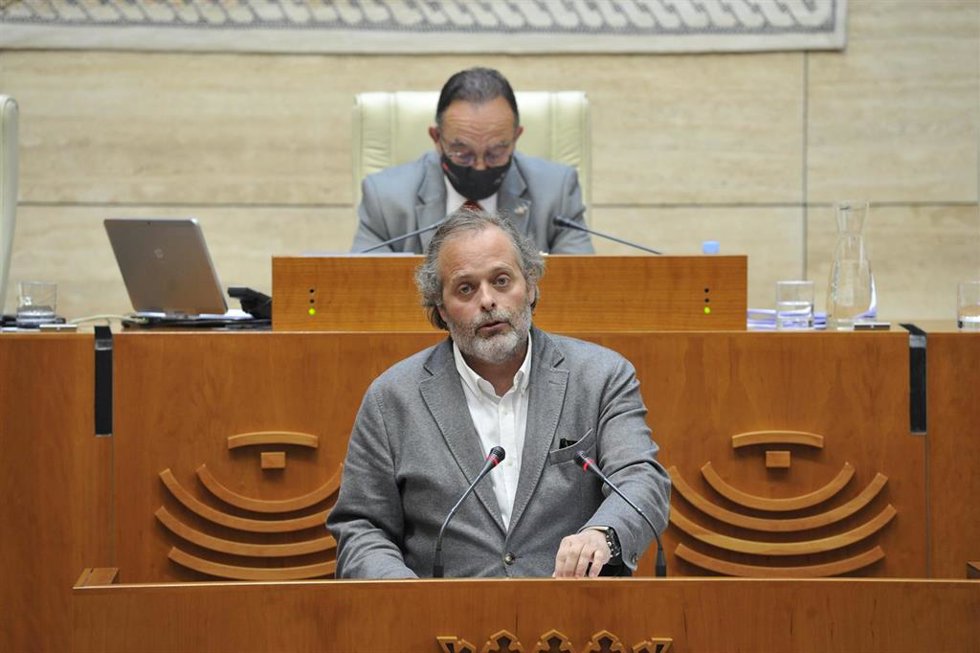 El consejero de Economía, Rafael España, en la Asamblea.