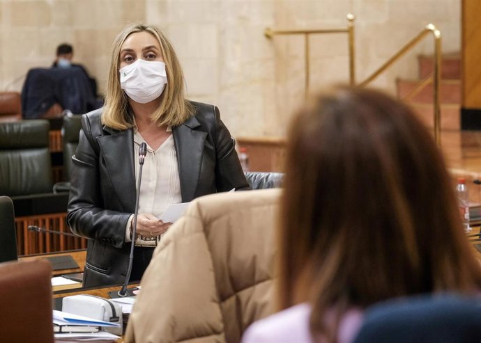 La consejera de Fomento, Marifrán Carazo, este jueves en el Pleno del Parlamento.