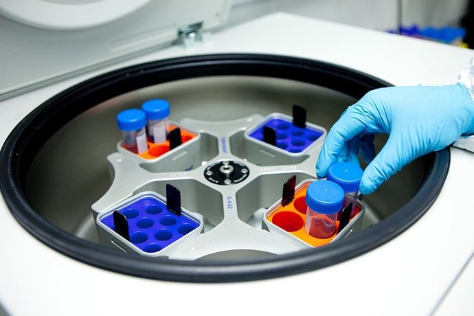 Archivo - Analisis de muestras en un laboratorio.