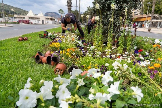 Plantación de flores a cargo de Parques y Jardines