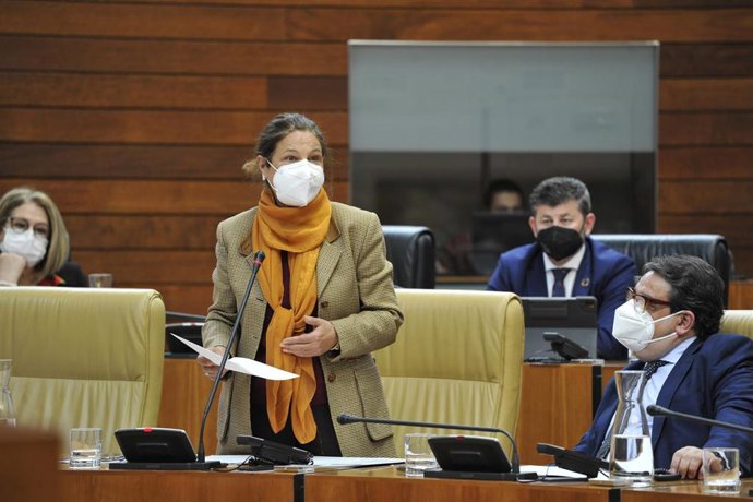 La vicepresidenta primera y consejera de Hacienda y Administración Pública, Pilar Blanco-Morales, en la Asamblea.
