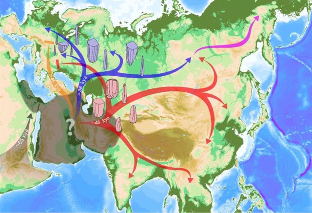 Las flechas rojas representan la expansión humana asociada con la cultura material del Paleolítico Superior Inicial y las flechas azules la expansión asociada con los conjuntos del Paleolítico Superior.