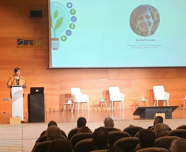 Soledad Aranda durante su intervención en la clausura de la jornada