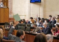 PP, Cs y Vox rechazan en el Parlamento pedir a Junta un plan de choque de 125 millones frente a la espera en dependencia