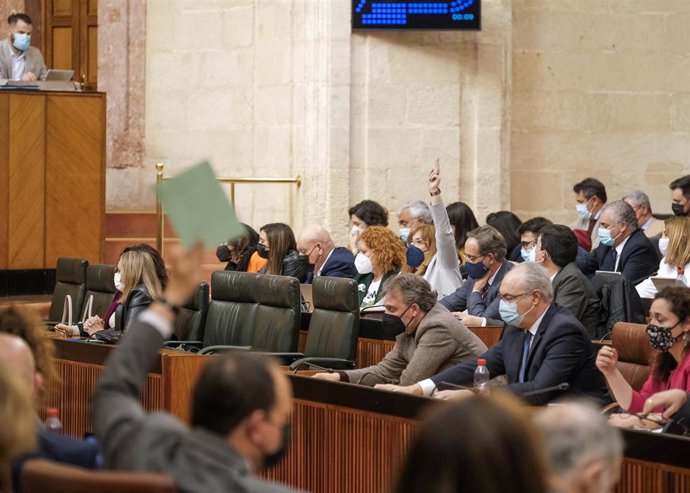 Votación de una proposición no de ley en el Parlamento andaluz.