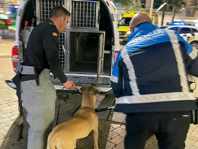 Un perro ataca a sus dueños en una casa de Torrejón y los niños se esconden hasta la llegada de la Policía