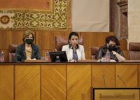 Bosquet despide un Pleno con aroma de cierre de legislatura expresando que "ha sido un placer" presidir el Parlamento