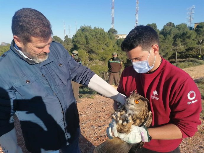 El director general del Medio Natural (i), durante el acto de liberación del ejemplar de búho real en el pico del Relojero.