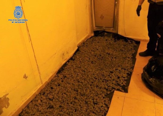 Marihuana hallada por la Policía en una vivienda deshabitada de Puertollano