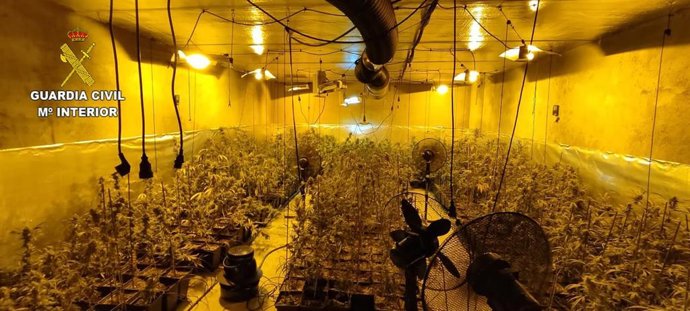 Plantación intervenida por la Guardia Civil en La Puebla de Montalbán