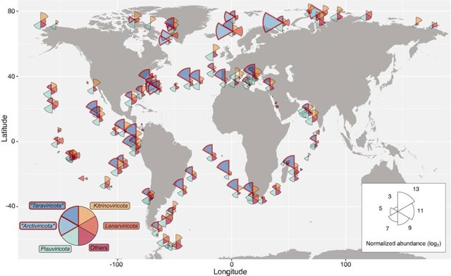 Este mapa muestra la distribución de los virus de ARN en el océano. El tamaño de la cuña es proporcional a la abundancia promedio de virus presentes en esa área, y el color de la cuña indica filos de virus.