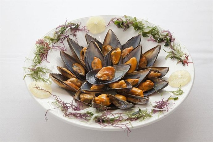 CLÓCHINA VALENCIANA