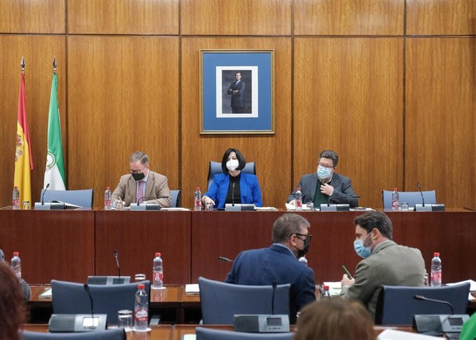 Imagen de este viernes de la Comisión de Agricultura del Parlamento de Andalucía, que ha aprobado el dictamen de la Ley de Economía Circular, ya para su aprobación por el Pleno.