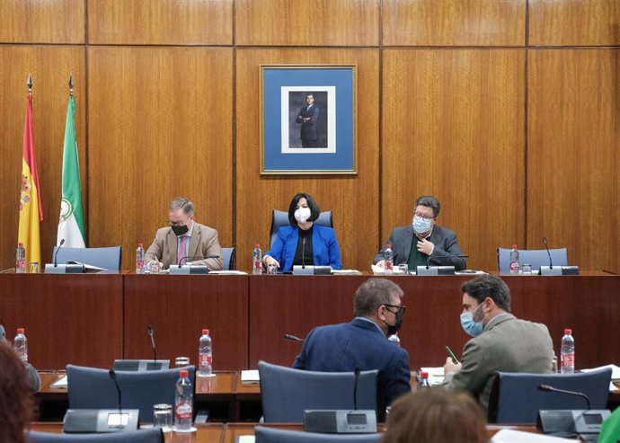 Imagen de este viernes de la Comisión de Agricultura del Parlamento de Andalucía, que ha aprobado el dictamen de la Ley de Economía Circular, ya para su aprobación por el Pleno.