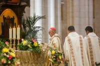 Centro y Salamanca contarán con seis zonas peatonales en Semana Santa para garantizar la movilidad