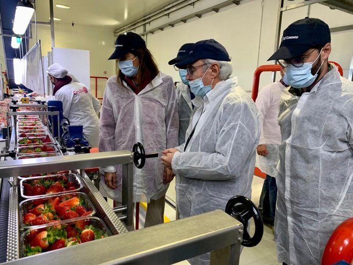 La secretaria general del PP-A, Lóles López, en su visita a la cooperativa SAT Condado de Huelva, en Rociana del Condado (Huelva).