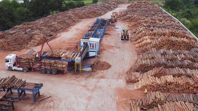 Maderas José Peña Lastra.