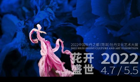 Comunicados Internacional