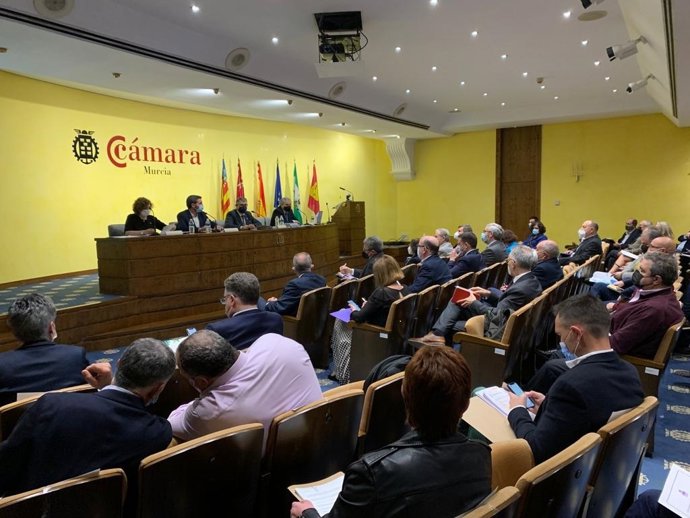 Reunión del Consejo del Agua de la Demarcación Hidrográfica del Segura