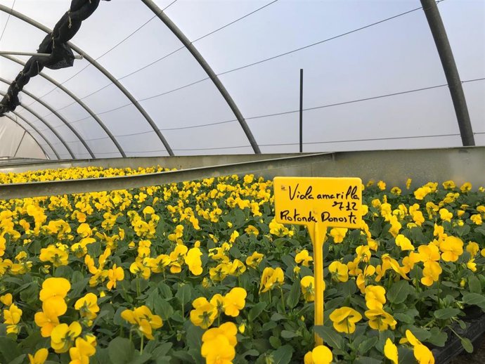 Vivero municipal en Vitoria