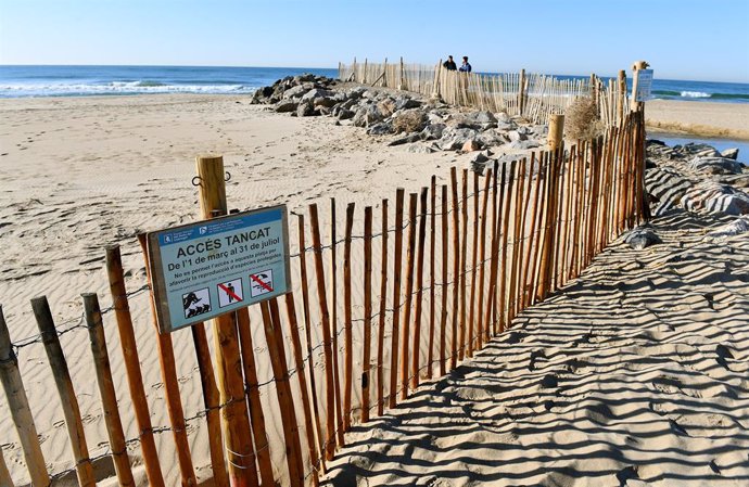 L'AMB assumeix la gestió de les platges i les dunes protegides del delta del Llobregat (Barcelona)