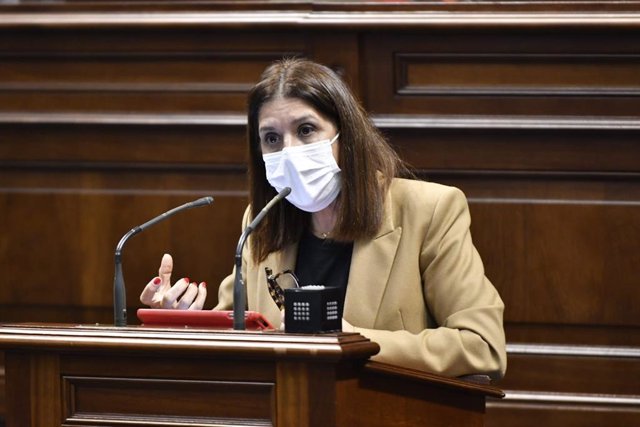 Portavoz de NC en Educación en el Parlamento de Canarias, Carmen Hernández