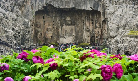 Comunicados Internacional