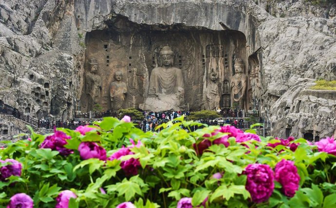 Photo shows the Longmen Grottoes surrounded with peony flowers in Luoyang, central China's Henan Province