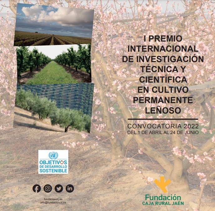 Cartel del concurso.