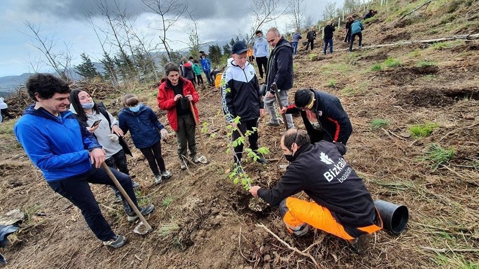 El diputado general de Bizkaia, Unai Rementeria, durante la plantación de superficie forestal