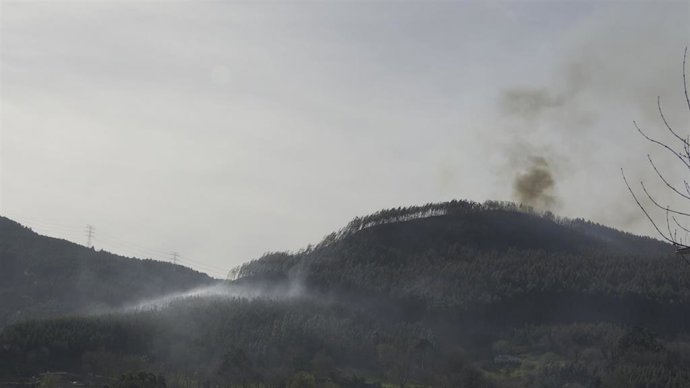 Archivo - Reactivado el último foco del incendio forestal de Muskiz (Bizkaia)