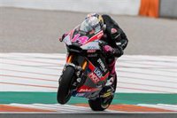 Arbolino triunfa en el nocaut de los favoritos