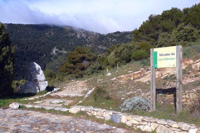 Mirador del Parque Nacional Sierra de las Nieves, en la provincia de Málaga