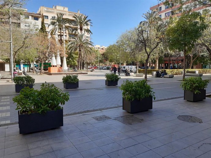Jardineras en la plaza París de Palma.