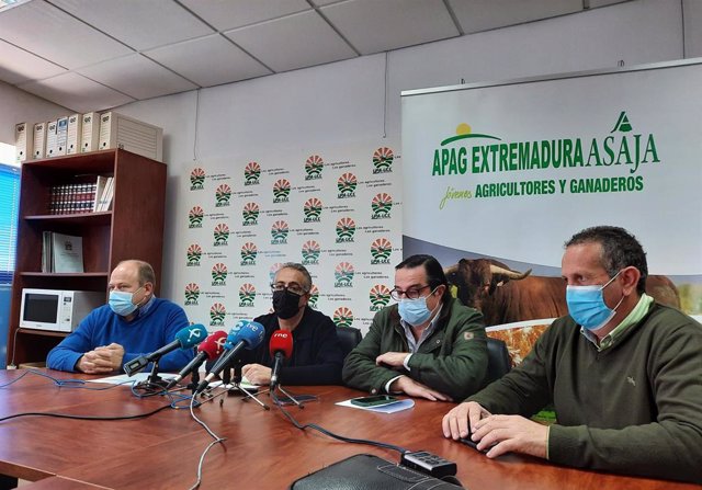 Representantes de organizaciones agrarias extremeñas en rueda de prensa sobre la contratación de tabaco