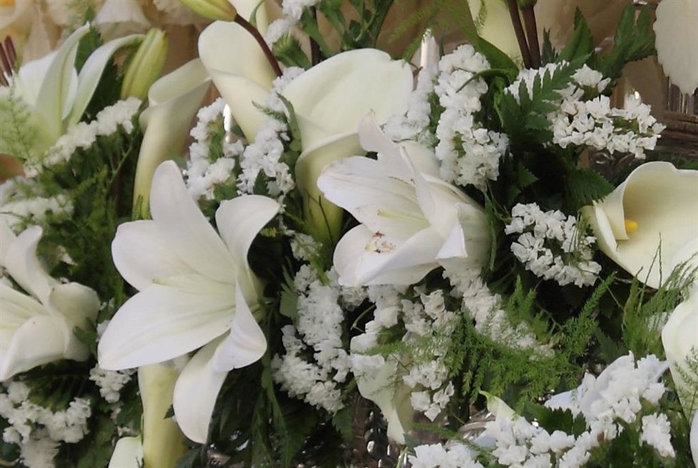 Archivo - Flores