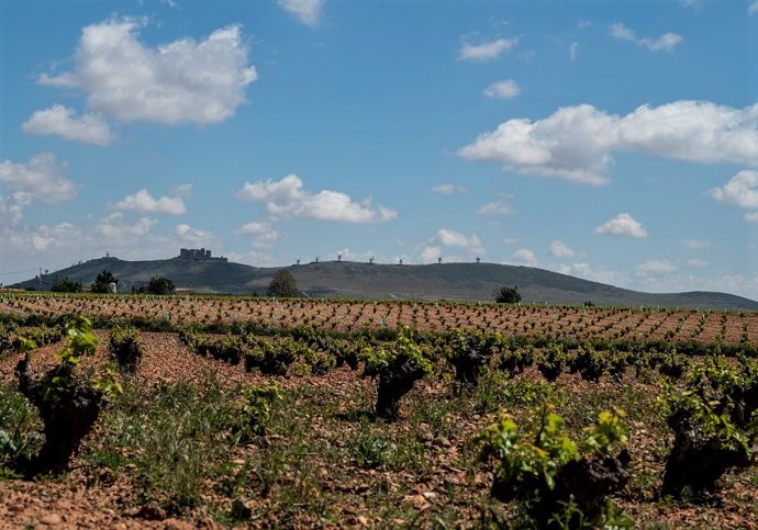 Archivo - Cultivos en el Alto Guadiana.