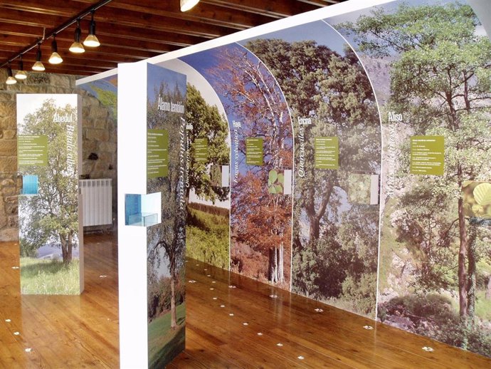 Archivo - Centro de interpretación de Riopanero