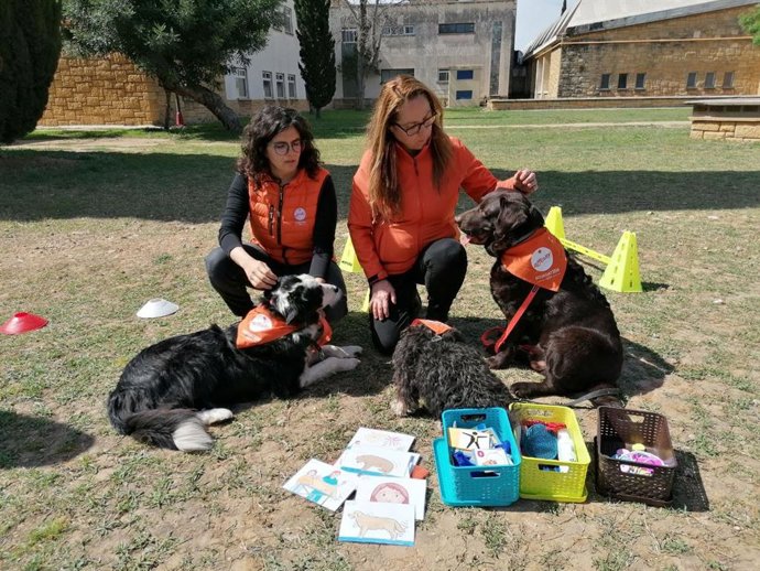 Presentación del programa entre la Dgaia y la Fundació Affinity