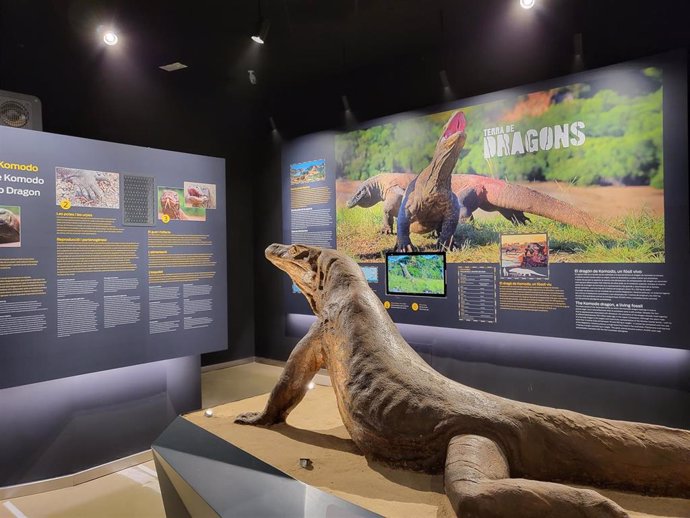 El Zoo de Barcelona estrena el nuevo Centro de Descubrimiento 'Terra de Dragons'