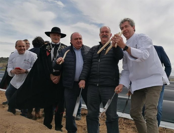 Imagen de la recolección de un espárrago por Pedro Subijana.