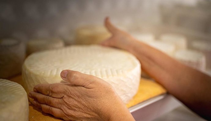 Archivo - Quesos de Fuerteventura