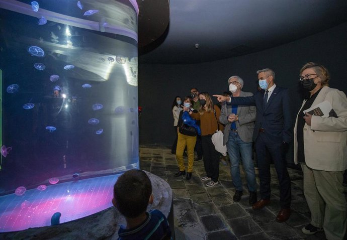 El vicepresidente y consejero de Universidades, Igualdad, Cultura y Deporte, Pablo Zuloaga, inaugura el nuevo medusario del MMC