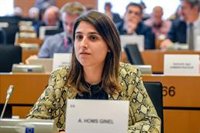 Homs defiende la "transparencia" de las instituciones ante el PE y critica que Vox "venga con conclusiones desde casa"