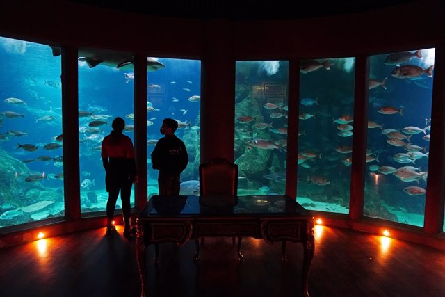 Aquarium A Coruña
