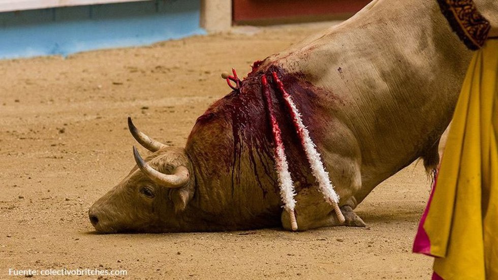 Toro, corrida